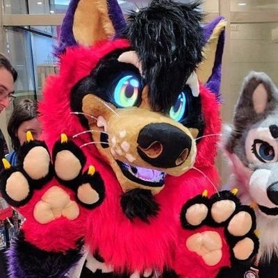 Mekhy / Pudimさんのプロフィール画像