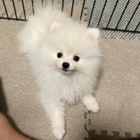みな_ (@l_u_210) 's Twitter Profile