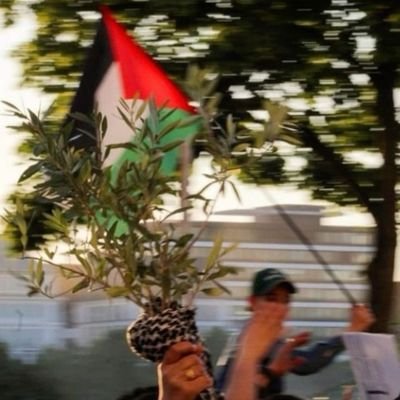 إنسان يُحاول ألَّا ينطَفِئ فتيلُ الأملِ بدَاخِلِهِ.