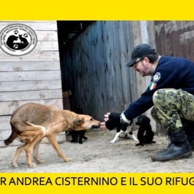 Too many sick dogs are suffering alone. With your help, we can build a safe haven where they finally get love, care, and a second chance.Every euro saves a life