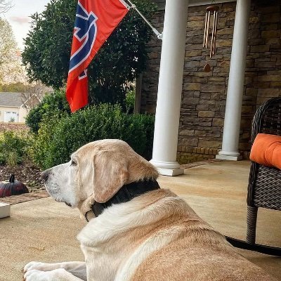 Husband, Dad, Radio Host, Below Average Golfer (PRIVATE account 🙄) #WDE