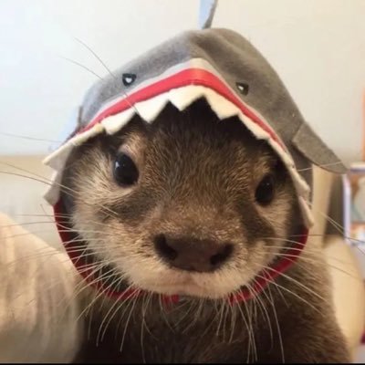 nysburningdown's profile picture. 