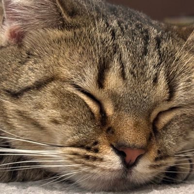 sariko1227's profile picture. 