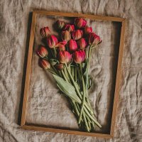 Sᥙ̈mᥱყყᥱ'🌷 (@smy_msll) 's Twitter Profile
