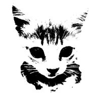Tab (@tablowkcal) 's Twitter Profile