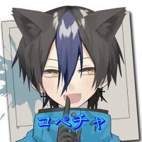 🦊コペチャ🦊 (@kopecha51) 's Twitter Profile