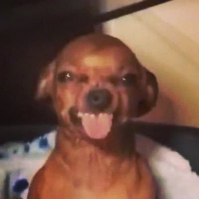 DIORWESTWOOD's profile picture. diary