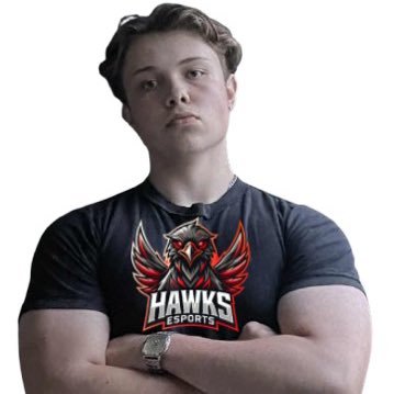 pinqucs_'s profile picture. Mikkel Lange
Entry for Hawks Esport