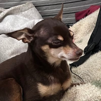 will_nts's profile picture. 