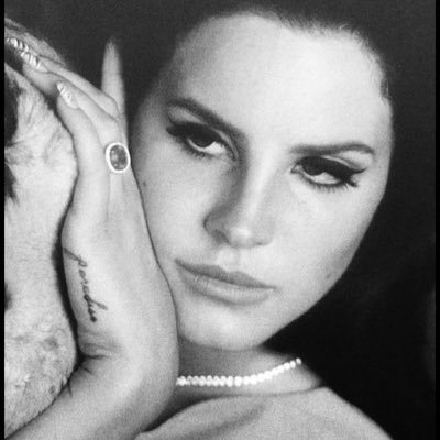 toXXictaurus's profile picture. 