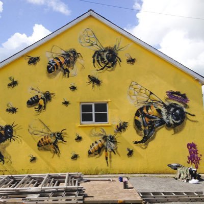 BeeTerpington's profile picture. 