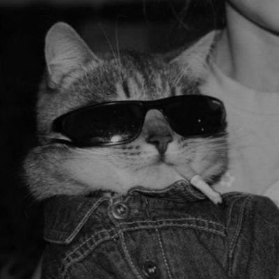 Sith-Level Degen.
Tracking Alphas like a Sniper.
Posts=Ads.
Join me—https://t.co/vXwi5PlN2t
Crypto Marketing Expert Since '23