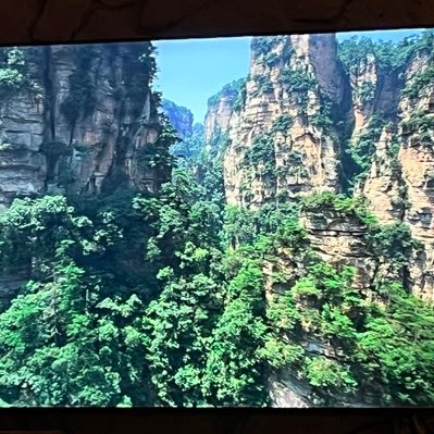 EverydayTodd's profile picture. 