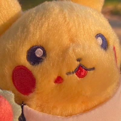 I am not verified but I am a verified himbo. William | 27 | he/him | VGC & TCG