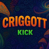 Criggott (@criggottkick) 's Twitter Profile