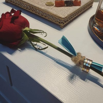 nourhanabouswiq's profile picture. 