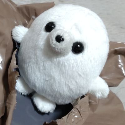 突如自宅に小包が届いて開けてみたら、謎の白くて丸いかわいいヤツが出てきたアカウントです。この子は一体何者なのでしょうか、、🦭
#あざらし界隈