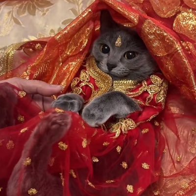 nifafiffah's profile picture. 