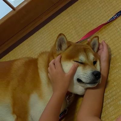 Ab19830503's profile picture. 生涯を通し“地域活性と共存”をテーマに
循環型ビジネスを学び実践へ🌱
#PMV9期 #protoout #sustainable society