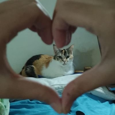 Satevis αsさんのプロフィール画像