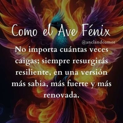 rebert310583's profile picture. 