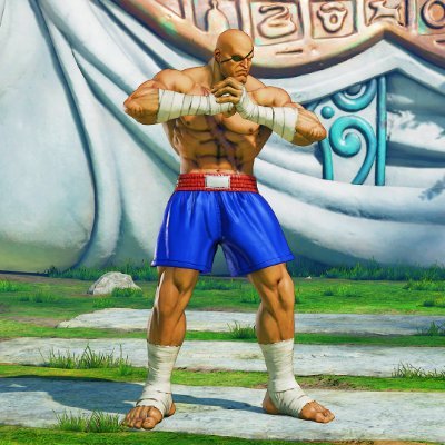 StrikingCentral's profile picture. i like fighting