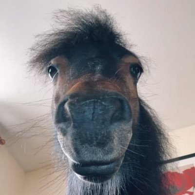 notcoolwth's profile picture. Top 100 in source engine