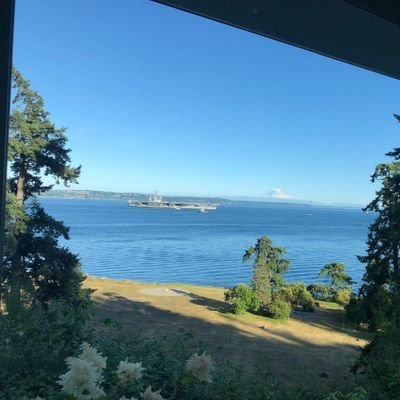 benjamnArturo5's profile picture. Benjamín r
