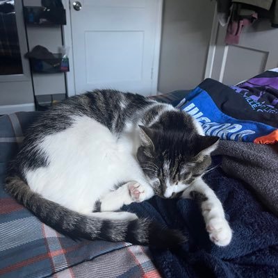 HaireJacob67843's profile picture. 