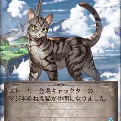 Zahlen1999's profile picture. 凍結されちまったよ