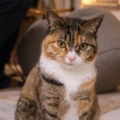 uvjyx82363132's profile picture. Social Media Manager @Edelman | Boston University | Photographer 📷
#SocialMedia #PR #Photography