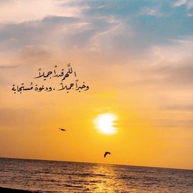 (خلقتني مسلماً ورسولى الكريم سيدنا محمد صل الله عليه وسلم فلك الحمد ) ✨♥️
https://t.co/AjPWJ578Gz