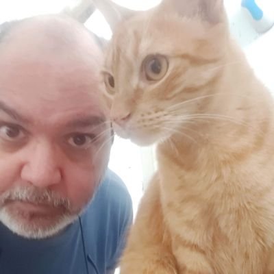 Independiente Rey de Copas. Peronismo=Decadencia y Corrupción. Ing. en Sistemas. Porteño de Constitución. Génesis, la mejor banda de la historia musical.