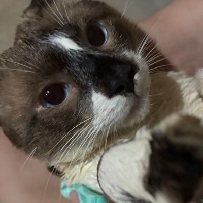 whoskkyy's profile picture. all evidence is a clue, but not all clues are evidence.