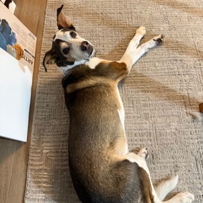 osw3333's profile picture. 