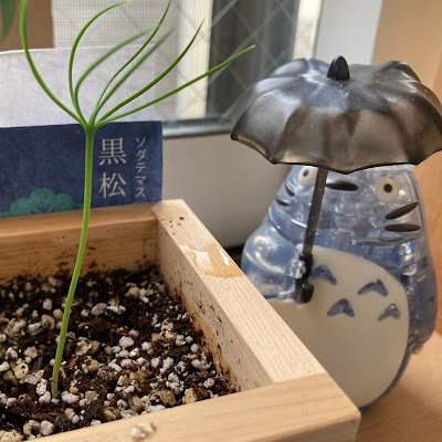 ccircus888's profile picture. 