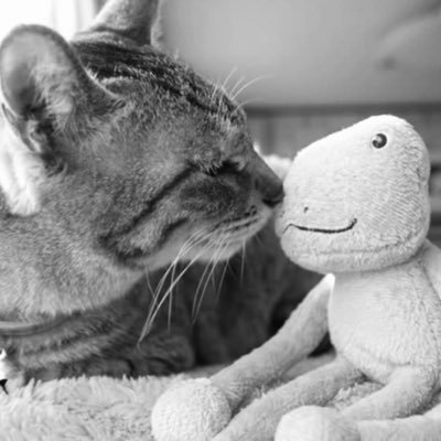 _fight_yui_'s profile picture. この顔に載せた、グラスには見えなかった。