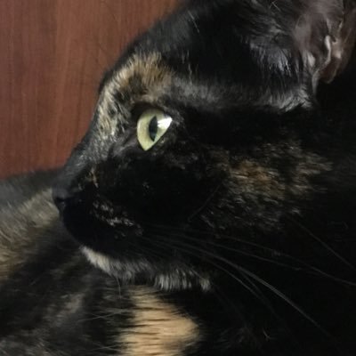 JacobB60251's profile picture. 