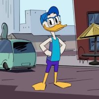 Matt Muscovy (@mmuscovy33744) 's Twitter Profile