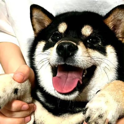 Kits029's profile picture. Crypto collector analyzing crypto trends