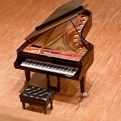 liebesleidamour's profile picture. クラシック、ピアノ、藤井風、ポルノグラフィティ、セカオワ、Da-iCE、円井わんちゃん❤️Lush❤️筋トレ