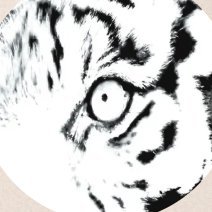 @DIVINEDONDADAA
Musician/VO+++
#1 Pop/Dance/Electronica #NYC
https://t.co/uIH5NY6kI3
'A destroyer is not a leader but the most fearful'