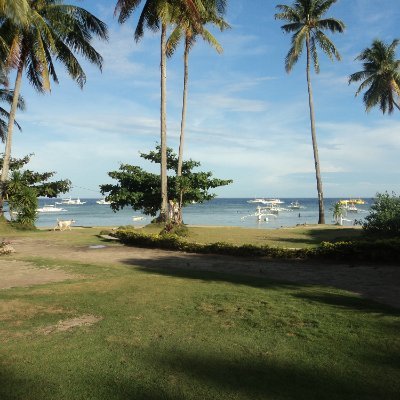 YAKHANIMA's profile picture. 