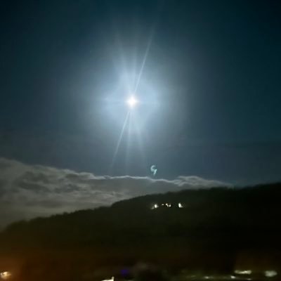 squabels_'s profile picture. 💤