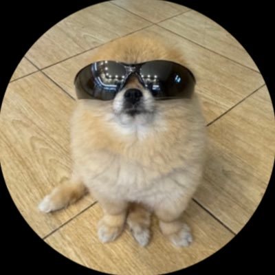 $KORI CA: HtTYHz1Kf3rrQo6AqDLmss7gq5WrkWAaXn3tupUZbonk