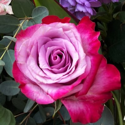 街中で気ままに撮影したお花を投稿しています🌺投資や出会い、お金配りには興味は無いのでフォローバックはいたしません❌お花や写真の好きな方々と繋がりたいです🥰いつも無言フォロー失礼します🙇🌺🌼🌸💐