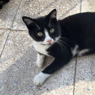 zbartowsky's profile picture. 3D Artist @ValkoStudios