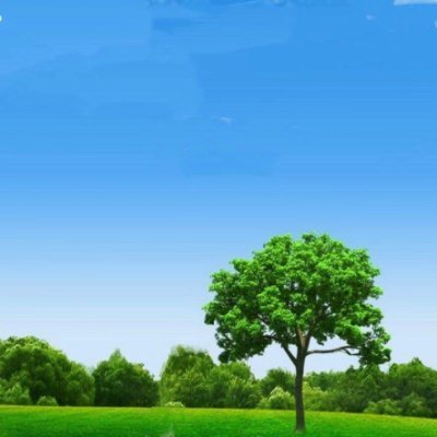 LucaaGreen's profile picture. Blockchain developer bridging realities