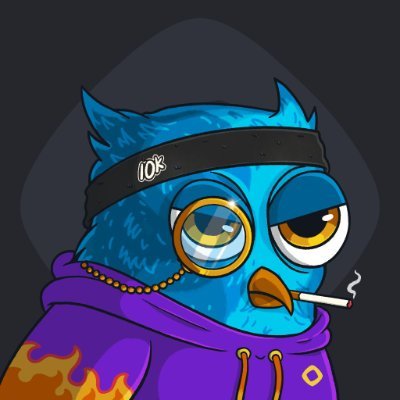 Liamcoleking's profile picture. degen