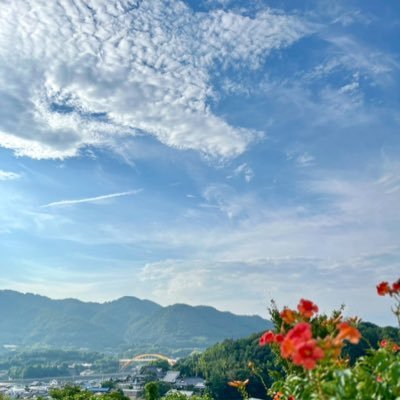 取り引き専用アカウントです。常識ある方のみリプ、dm等お願いします。 ツイートは反応がなければ予期なく削除させて頂く場合があります。 マナー違反等、絶対に致しません。 協力等お気軽にご連絡ください。成人済。友人分代理募集あり。